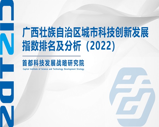 jj进屁眼不打码视频【成果发布】广西壮族自治区城市科技创新发展指数排名及分析（2022）